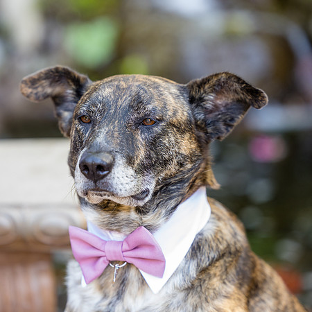 Wedding Venues Oc  - 777 Laguna Beach-118