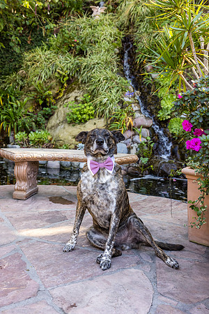 Wedding Venues Oc  - 777 Laguna Beach-123
