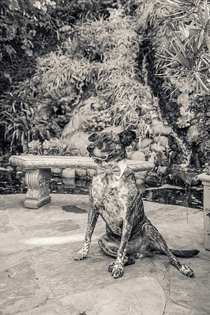 Wedding Venues Oc  - 777 Laguna Beach-128