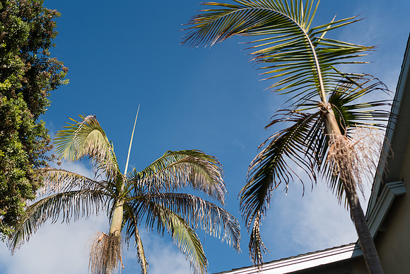 Wedding Venues Oc  - 777 Laguna Beach-033