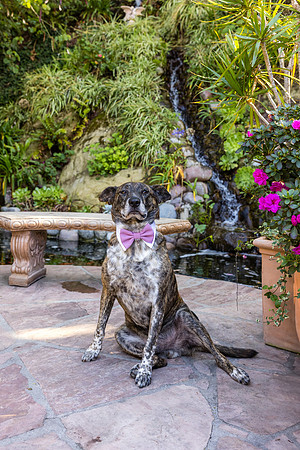 Wedding Venues Oc  - 777 Laguna Beach-124