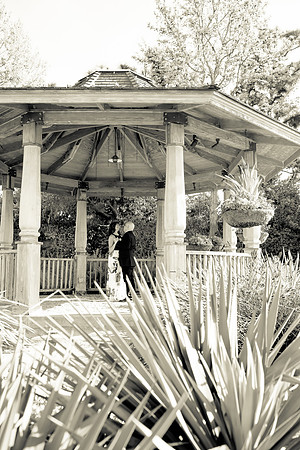 Newport Beach Photographer-87