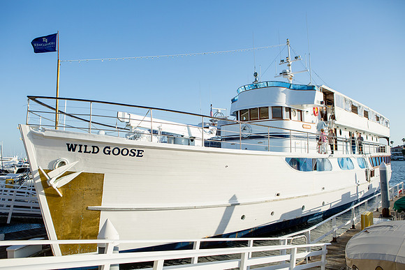 Wild Goose Hornblower-9