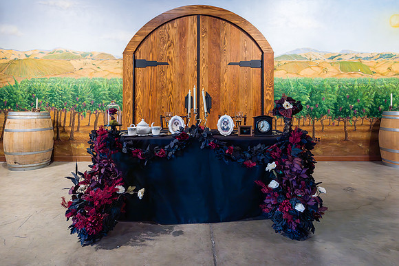 Wedding Photos Del Valle Winery Livermore Ca-001