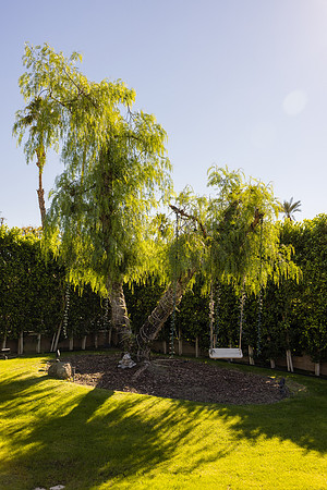 Photographers Rancho Mirage-032