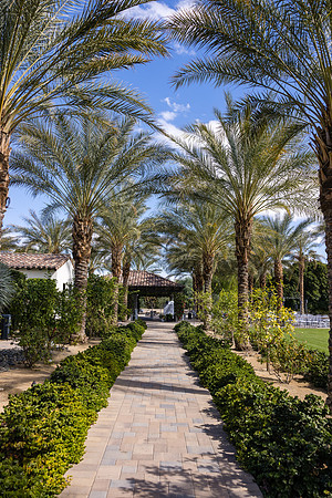 Old Pollo Estates Coachella - David England Photography-028