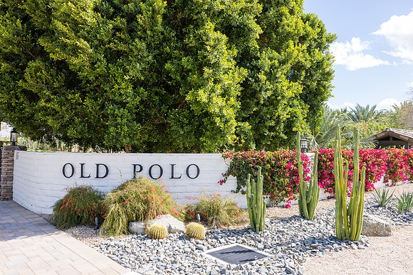Old Pollo Estates Coachella - David England Photography-026
