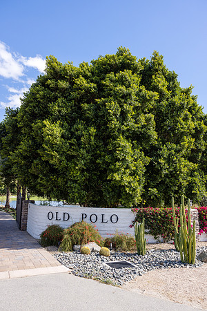 Old Pollo Estates Coachella - David England Photography-027