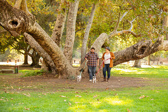 Irvine Regional Park Engagement Session - David England Photography-15