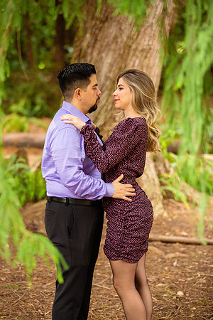 Los Angeles County Arboretum Photography-104