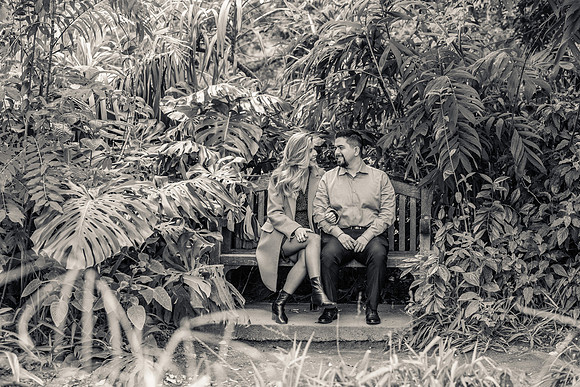 Los Angeles County Arboretum Photography-46