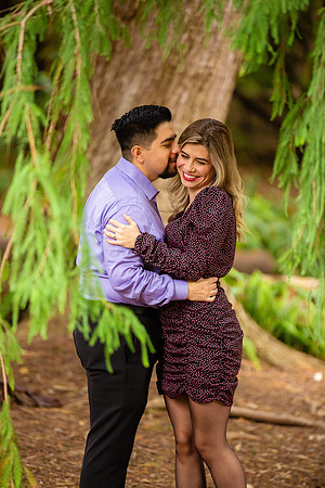 Los Angeles County Arboretum Photography-114