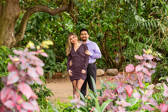 Los Angeles County Arboretum Photography-57