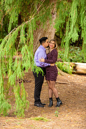 Los Angeles County Arboretum Photography-111