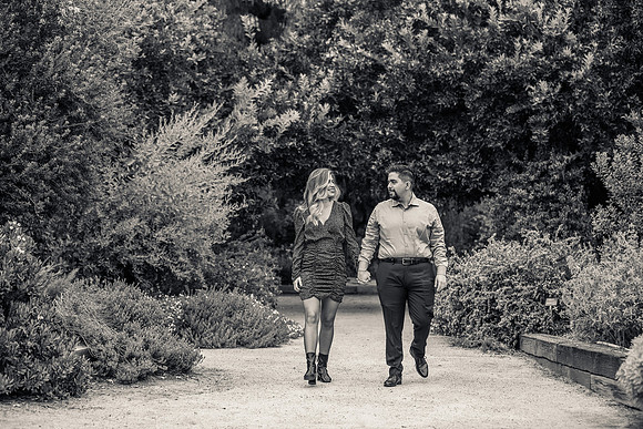 Los Angeles County Arboretum Photography-3