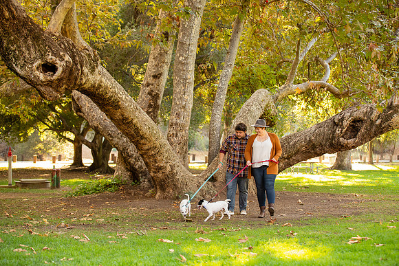 Irvine Regional Park Engagement Session - David England Photography-16