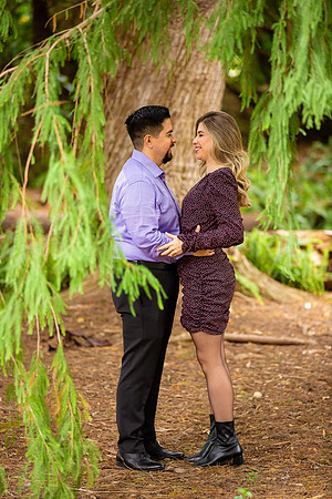 Los Angeles County Arboretum Photography-107