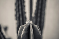 Palm Springs Wedding Photographer-017