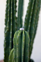 Palm Springs Wedding Photographer-011