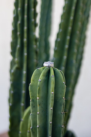 Palm Springs Wedding Photographer-011