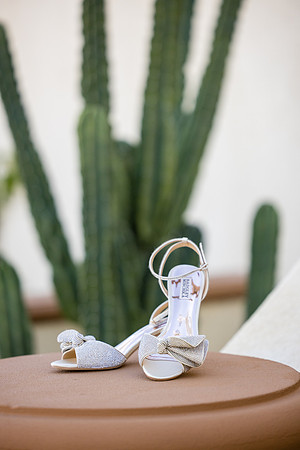 Palm Springs Wedding Photographer-008