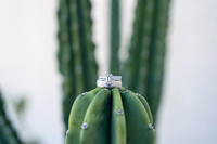 Palm Springs Wedding Photographer-016