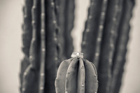 Palm Springs Wedding Photographer-014
