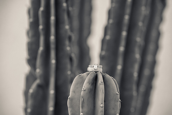 Palm Springs Wedding Photographer-014