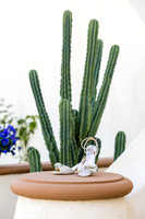 Palm Springs Wedding Photographer-009