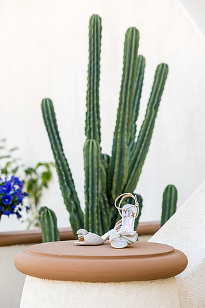 Palm Springs Wedding Photographer-009