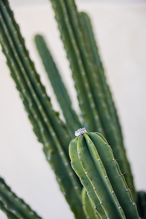 Palm Springs Wedding Photographer-012