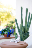 Palm Springs Wedding Photographer-010