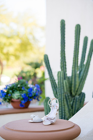 Palm Springs Wedding Photographer-010