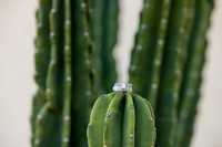 Palm Springs Wedding Photographer-013