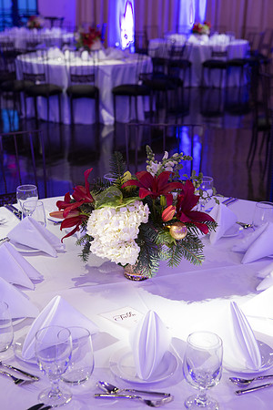 The Noor Pasadena-9