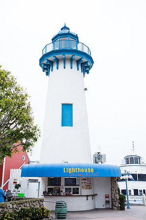 Marina Hornblower -3