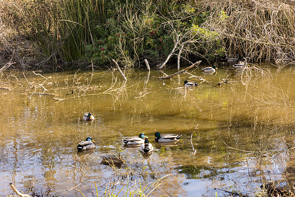Huntington Central Park East family photos-139