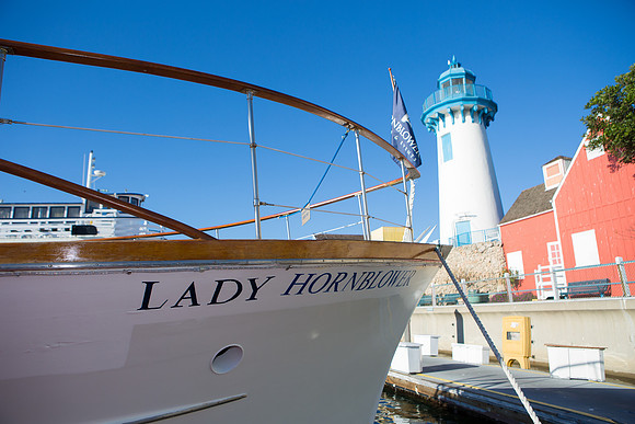 Lady Hornblower-1