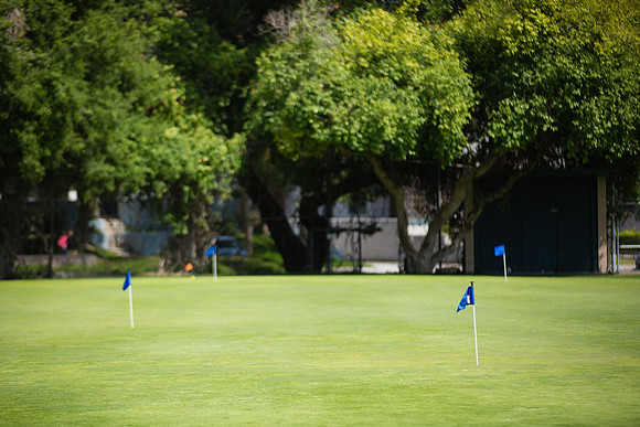 Womens Golf Day 2017-3