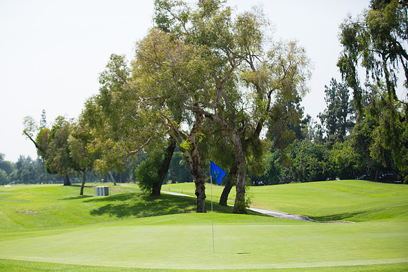 Womens Golf Day 2017-4