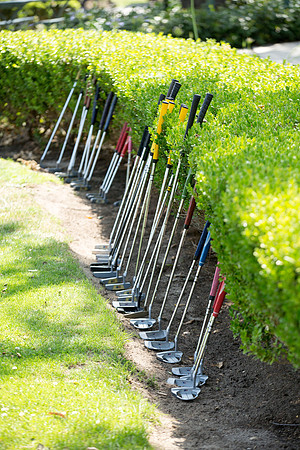 Womens Golf Day 2017-55
