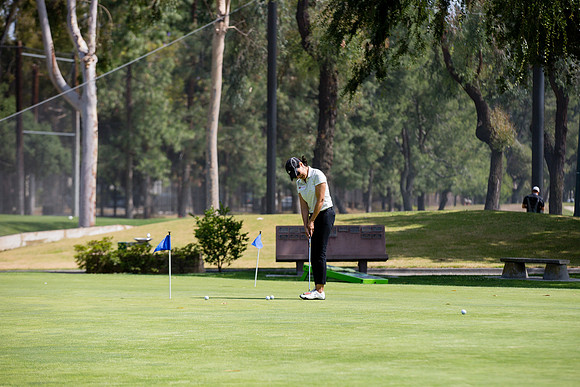 Womens Golf Day 2017-51