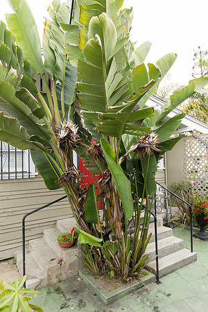 Real Estate Photographer Long Beach-119