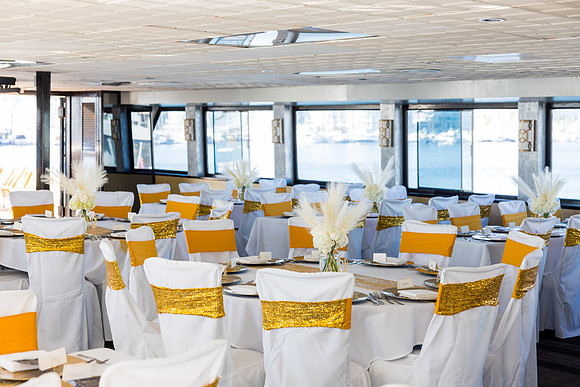 Entertainer Wedding Photos - City Experiences By Hornblower-016