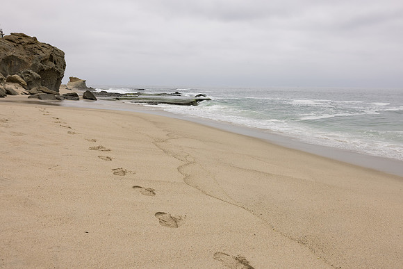 David England Photography-052