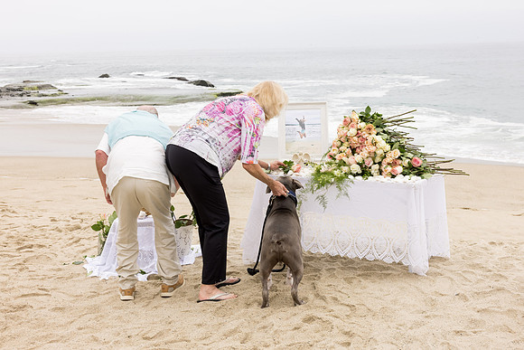 David England Photography-071