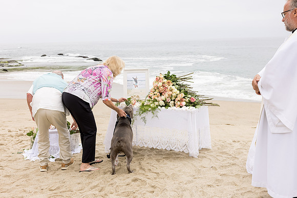 David England Photography-070