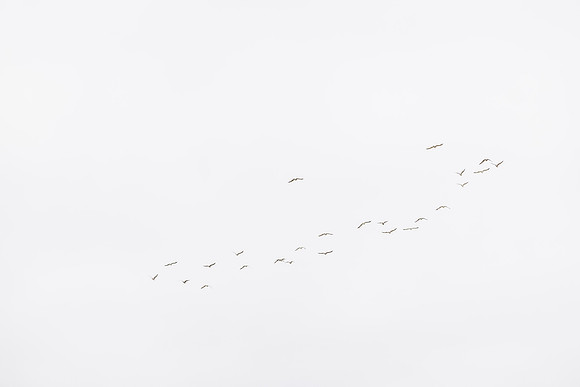 David England Photography-085