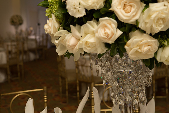 David England Photography-37