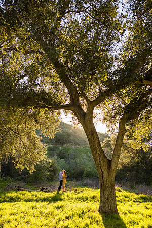 Engagement Photos Irvine Regional Park - David England Photography-046